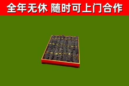 江津区回收海参